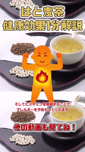 はと麦茶の健康効果を1分で解説 #tiktok教室 #ゆっくり解説
