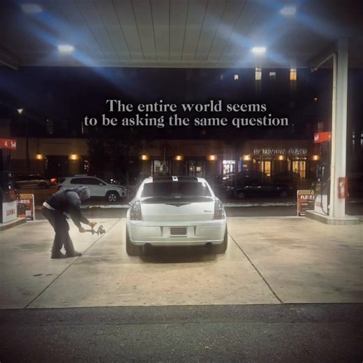 Has anyone seen spider-man? | spider-man