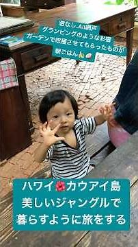 ハワイ🌺カウアイ島 美しいジャングルで暮らすように旅をする 窓なし、All網戸のグランピングのようなお宿に泊まりました