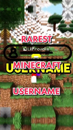 Exploring the Rarest Minecraft Usernames