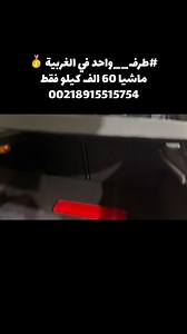 Asaad Saif Addin on Reels