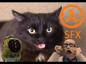 hl cat sfx