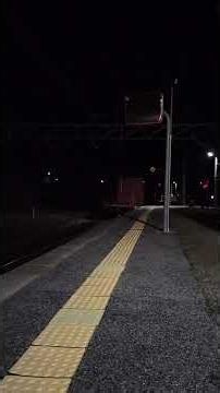 中央西線 須原駅 EF64 コンテナ貨物列車 2024年６月