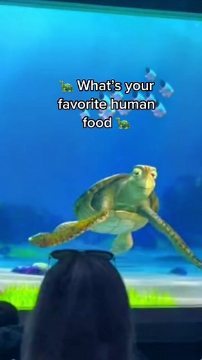 Favorite Human Food According to Crush from Finding Nemo