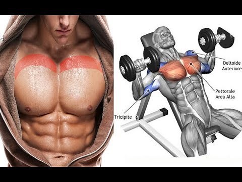 5 BEST UPPER CHEST EXERCICES / Musculation haut des pecs