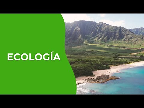 ¿Qué es la ECOLOGÍA? definición y su importancia 🌻