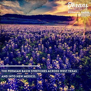 23K views · 36 reactions | The Permian Basin is revitalizing America’s oil production. | Texans for Natural Gas | Facebook