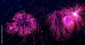 Exploding pink fireworks animation against dark night sky