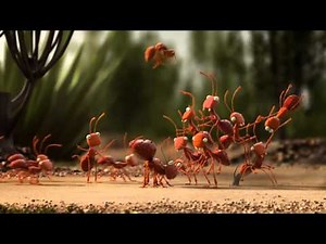 Trabalho em Equipe: Formigas