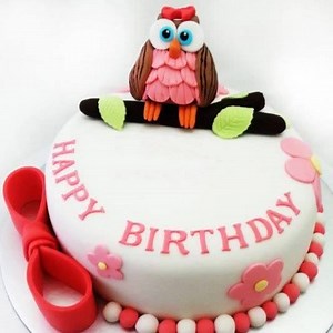 Fondant Owl Cake Decoration ====================== A beautiful and tasty fondant cake always adds additional pleasure to a party. In this workshop, you will learn how to make a good looking and yummy fondant cake. Is it too difficult? It may seem challenging, but it’s not as hard as you might think. With a little practice and know-how, you’ll be able to easily fondant a cake. Why waiting? Book your classes today!!! Date : 22nd Jul, 13th Aug, 12 Sep, 22nd Oct Time : 2.00 PM Duration : 5 hours Fee