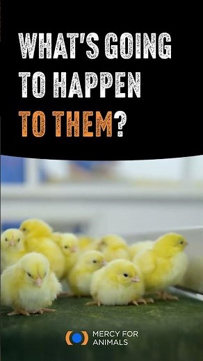 They're just babies. 😢