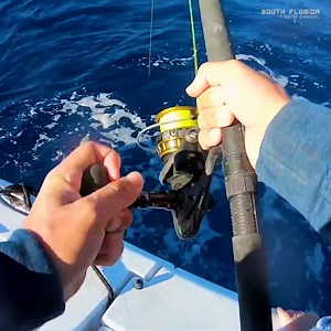 Catching Some NICE Mutton Snapper... | South Florida Fishing Channel