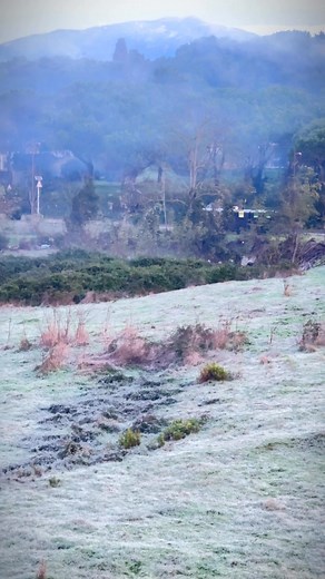Premiers givres en Corse, l’hiver s’installe dans la campagne La campagne corse révèle ce matin ses premiers paysages givrés, signe clair que l’hiver arrive sur l’île. Un décor rare et lumineux qui transforme le maquis, les prairies et les chemins en un tableau glacé. Images authentiques filmées au cœur de la nature corse, avec cette ambiance froide et silencieuse qui annonce la saison hivernale. #corse #corsica #hiver #givre #campagnecorse #naturecorse #paysagecorse #gel #meteo | Corse