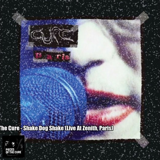 The Cure – Shake Dog Shake (Live At Zenith, Paris)