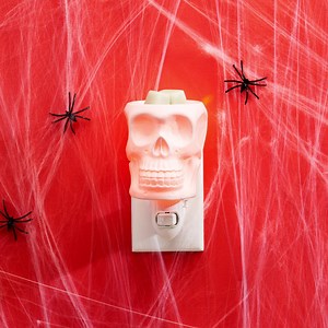 13K views | Scentsy on Reels | Facebook