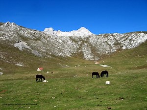 Driving Picos de Europa National Park, Northern Spain - Walkabout Wanderer