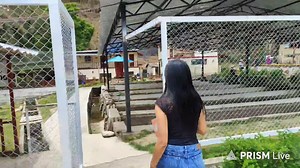 19K views · 117 reactions | Desde el ACUARIO MÁS GRANDE DE LA REGIÓN JUNÍN 簾 Arco Iris Restaurante & Piscigranja - Molinos, Jauja  Te espera en el Km.7 de la Carretera a Quero - Molinos - Jauja | Cadena tv Huancayo | Facebook