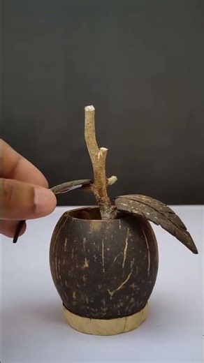 Why Coconut Shells Are The Best DIY Decor