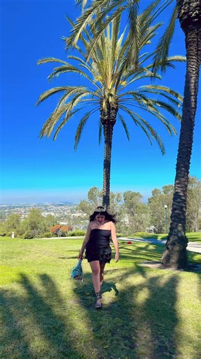 Exploring the LIVE Incentive Program for Fans