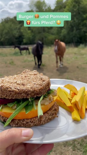 Leckere Burger und Pommes für dein Pferd
