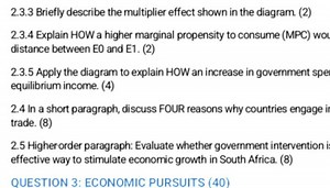 2.3.3 Briefly describe the multiplier effect shown in the diagr... | Filo