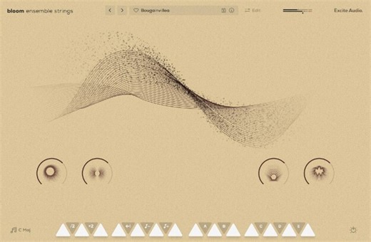 Bloom Ensemble Strings Lite