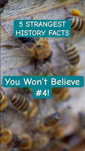 5 Strangest Historical Facts You Won’t Believe | Weird History You Missed in School