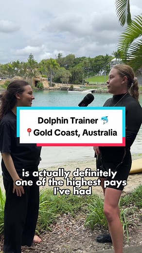 What’s it like working as a dolphin trainer at Sea World?📍Gold Coast 🐬 @Sea World Australia #jobs #jobseeker #salarytransparency #retail #hospitality #interview #streetinterview #paytransparency #viral #fyp #goldcoast #brisbane