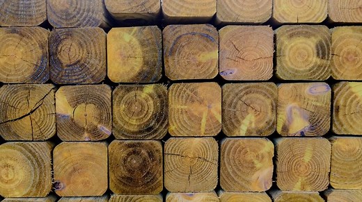 The Ultimate Guide to Blue Mahoe Wood - Top Woodworking Advice