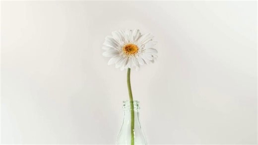 Coca-Cola TV Spot, 'Para todos'