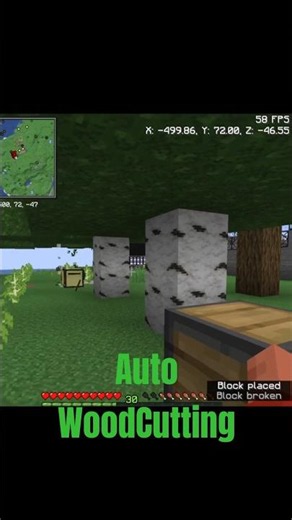 I automated wood farming in Minecraft and it went crazy