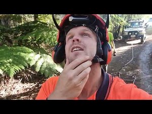 Hazardous Hung up trees.pushing the limits of treework