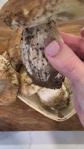Cómo limpiar setas, hongos o boletus en 1 minuto