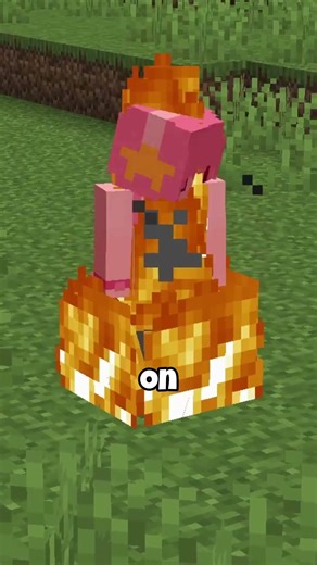 This mod gives you a butler