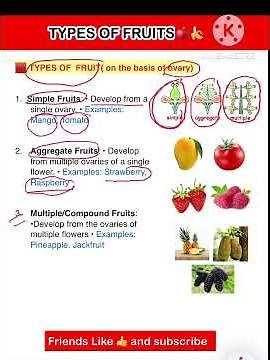 "Types of Fruits | Science by Galib Sir | Class 6 to 10 NCERT"