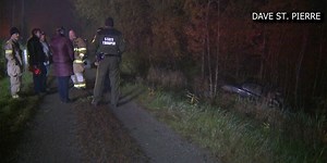 Driver dies after hitting cow at high speed on Vermont road