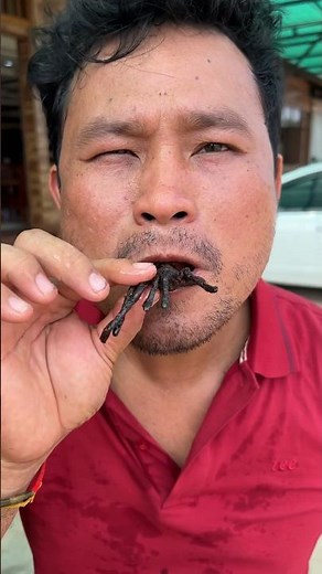 Eating Deep fried Spiders in Cambodia