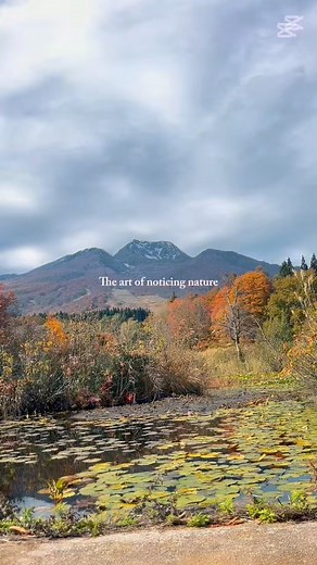 Lovely autumn 🍂🍁 #beutiful #love #nature #autumn #highlights #reelsvideo | Sakura Dora The Explorer