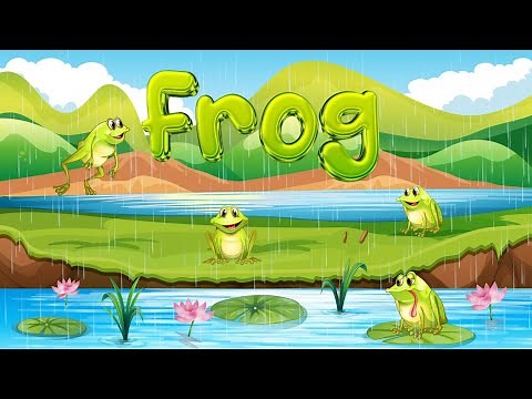 A Frog's Adventure | Story For Kids | Short Story | Bed Time Story | Kids Studio
