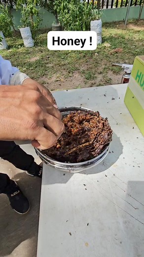 Honey #honey #beekeeping #hubak #beekeepers #dugos | Average Cook
