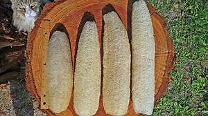 #1 All Natural Farm Grown Luffa Sponges (Choose Your Size)