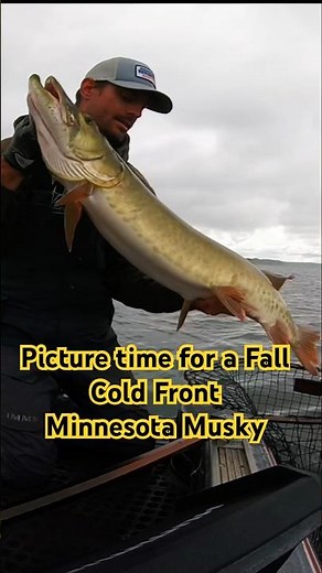 Until I see you again Miss Musky #Minnesota#Musky#Fall#guide#fishing#catchandrelease#figure8#outdoor