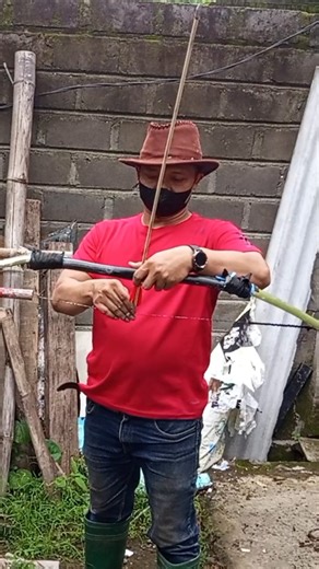 Practice Archery With Simple Bamboo Arrows Behind the House!!! #shorts #bamboobow #bowshooting #bow