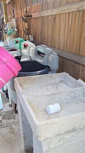 Cómo lavar tenis a mano y en lavadora: guía práctica