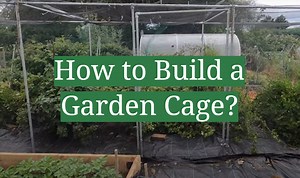 How to Build a Garden Cage? - GardenProfy