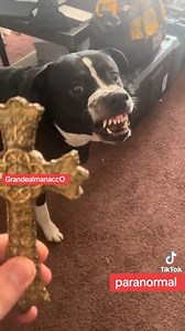 121K views · 4.1K reactions | #ghost #mysteri #omg #scary #neiperte #horror #viralvideo #pertutti #foryou #foryoupage #horrorstory #paranormal #flash #horrortok | Horror stories | Facebook