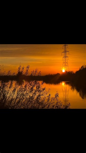 Ross Watson on Reels