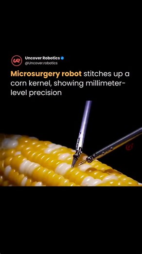 AI & Robotics on Instagram: "Sony Group has developed a microsurgery assistance robot capable of stitching a single corn kernel using ultra-fine 12-0 sutures, demonstrating the level of precision needed for delicate medical procedures. The prototype is designed to support surgeons in tasks that demand extreme steadiness and accuracy, reducing hand tremors while improving control during operations involving very small tissues and blood vessels. 📡 Follow @uncover.robotics for more behind-the-scen