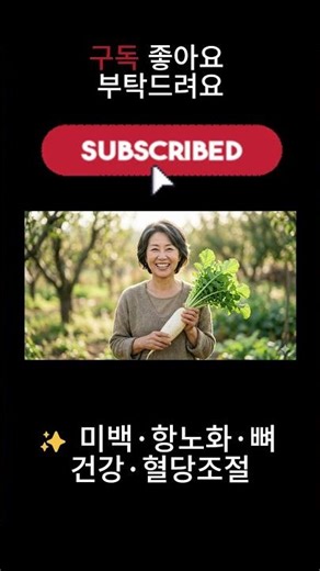 무 효능과 부작용 | 동의보감 기록