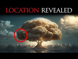 Details About The Tree Of Life Many Don't Know